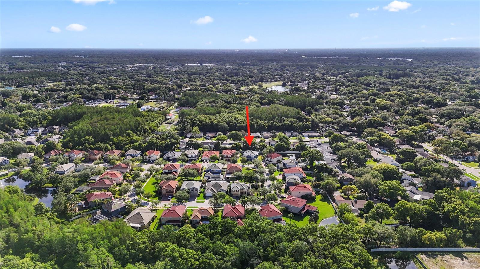 CARROLLWOOD CROSSING - Residential