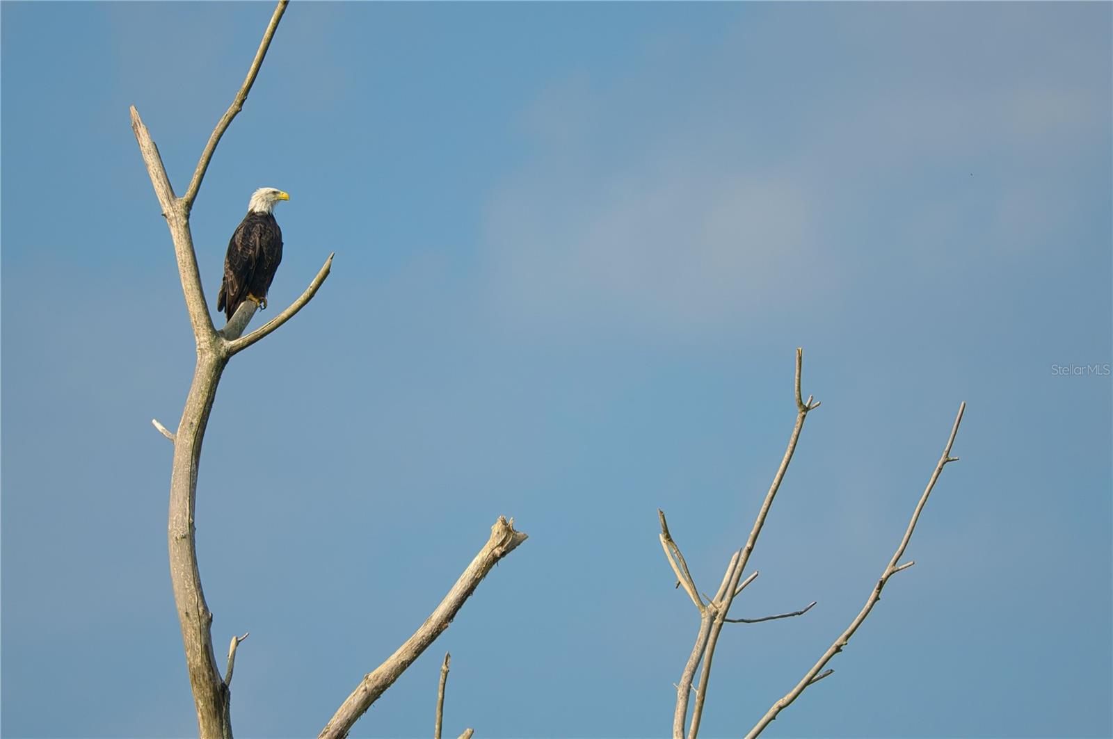 GULF COAST RET - Land