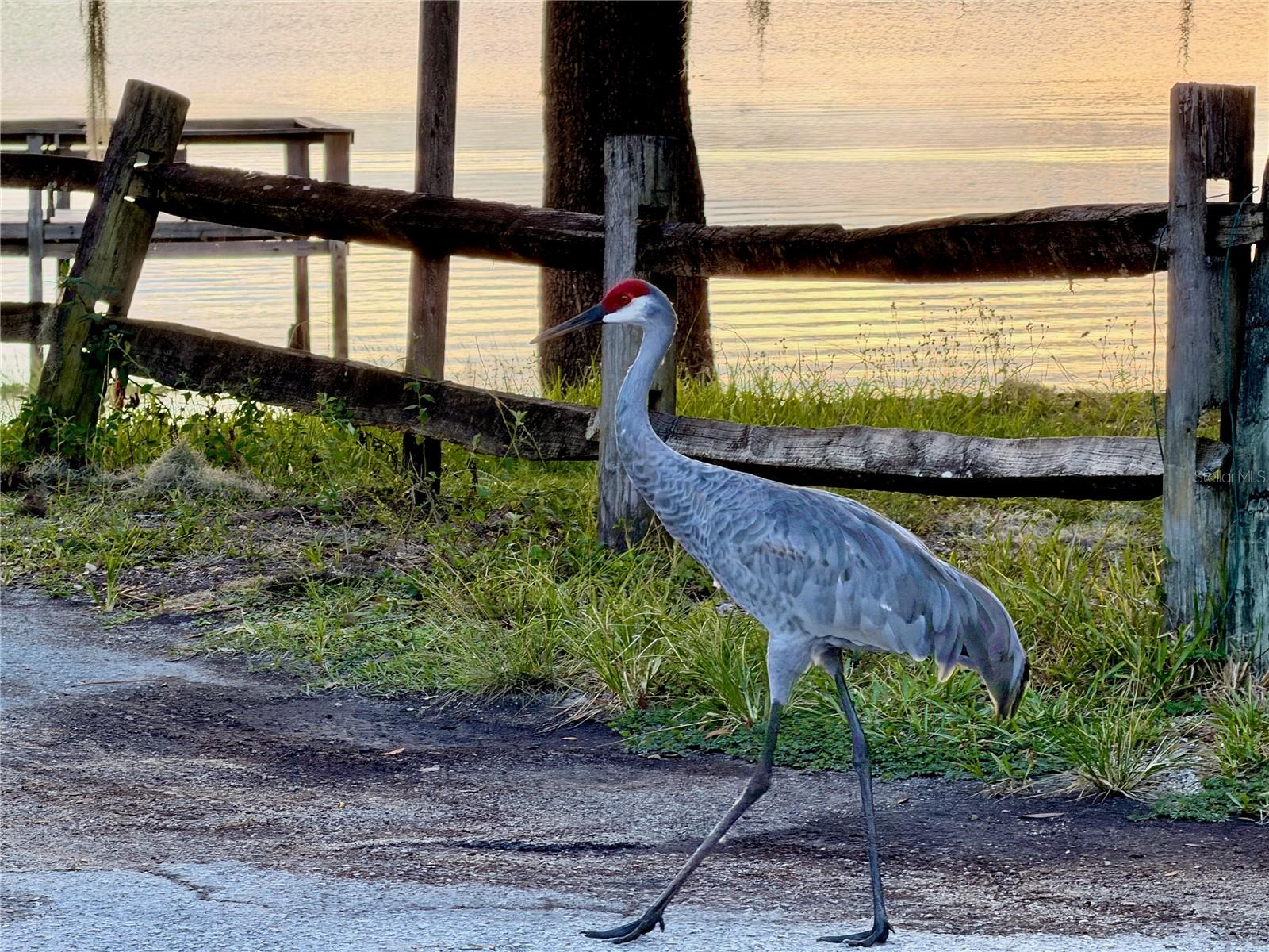 SALT SPRINGS RESORT THE COTTAGES CONDO - Residential