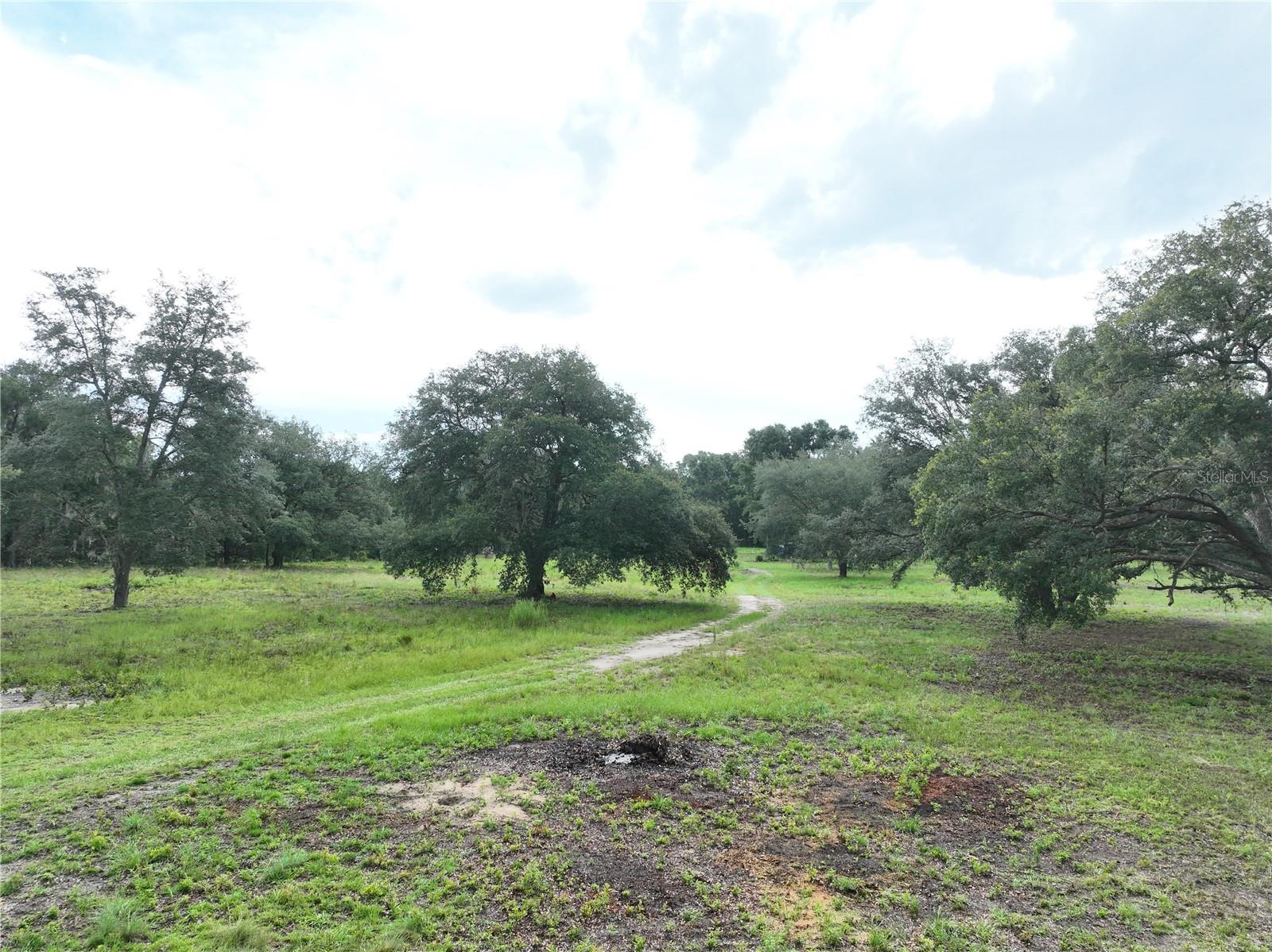 5 FENCED ACRES with ELECTRIC, WELL & SEPTIC! Discover the perfect blend of peace and quiet in beautiful Williston, FL! Rural Residential Zoning allows 2 Dwellings on parcel. Whether you're planning your dream home, a mini-farm, or a weekend retreat, this property is ready to go with essential improvements already in place. Bring your animals, your toys, or your blueprints. NO HOA.