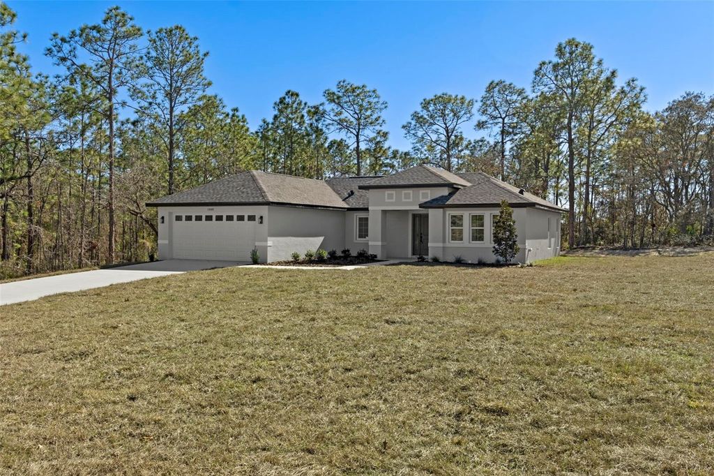 Photo of 13088 Velvet Scoter Avenue, Brooksville, FL 34614 (MLS # W7882012)