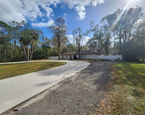 A home in LUTZ