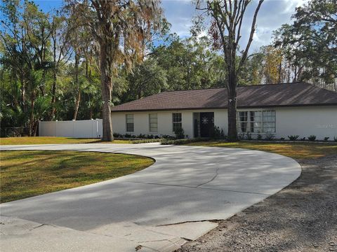 A home in LUTZ