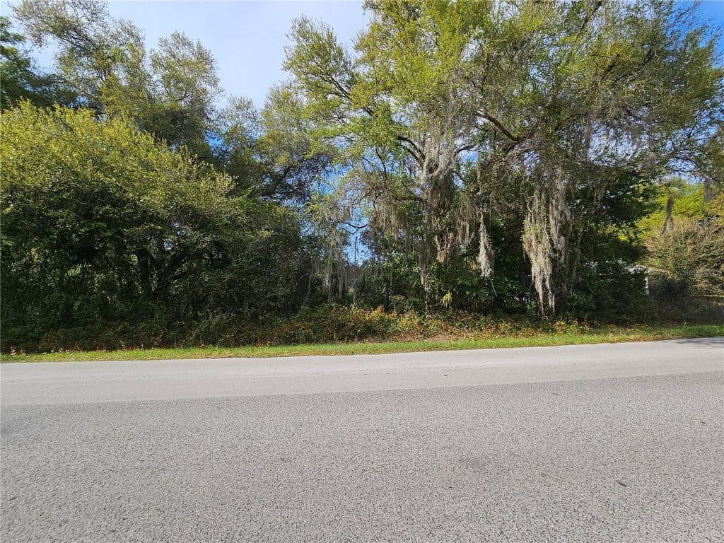 Photo of Locust Run Course, Ocala, FL 34472 (MLS # OM721257)