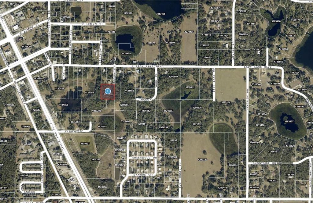 Photo of 128 Mockingbird Lane, Lady Lake, FL 32159 (MLS # OM724809)