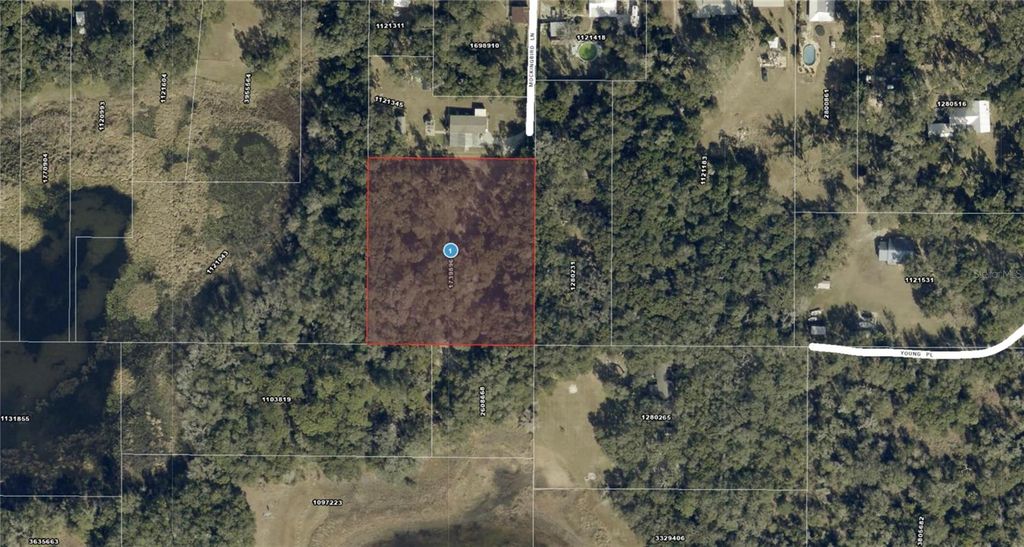 Photo of 128 Mockingbird Lane, Lady Lake, FL 32159 (MLS # OM724809)