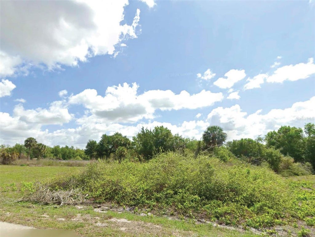 Photo of 29245 Cybele Street, Punta Gorda, FL 33982 (MLS # O6448160)