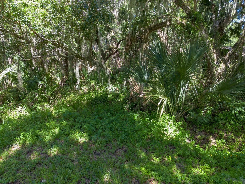 Photo of Beach Parkway, Lake Wales, FL 33898 (MLS # P4939548)