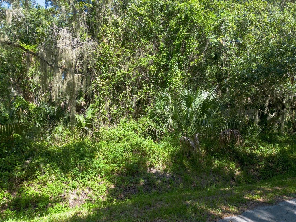 Photo of Beach Parkway, Lake Wales, FL 33898 (MLS # P4939548)