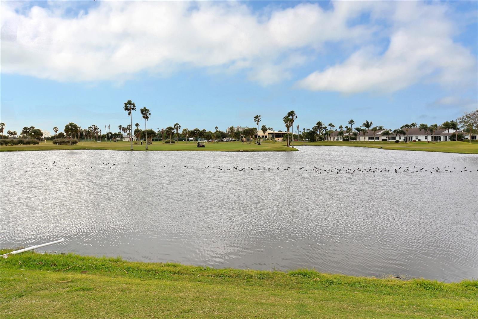 Photo 40 of 43 of 2625 TERRA CEIA BAY BOULEVARD 702 condo
