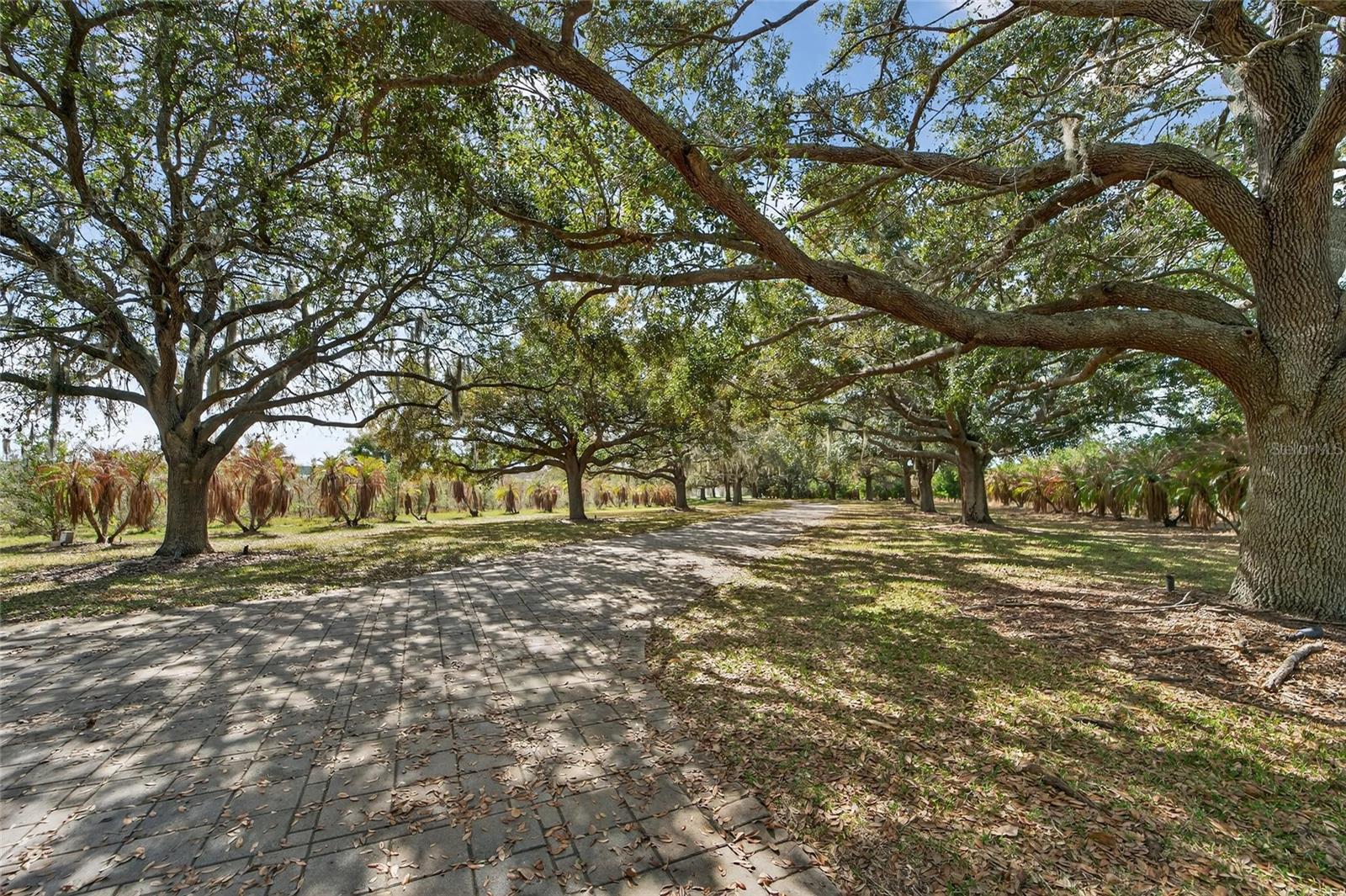 NEW ARMENIA REV MAP - Residential