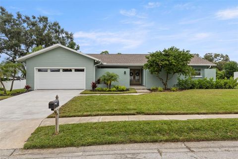 715 SANDY HOOK ROAD PALM HARBOR FL 34683