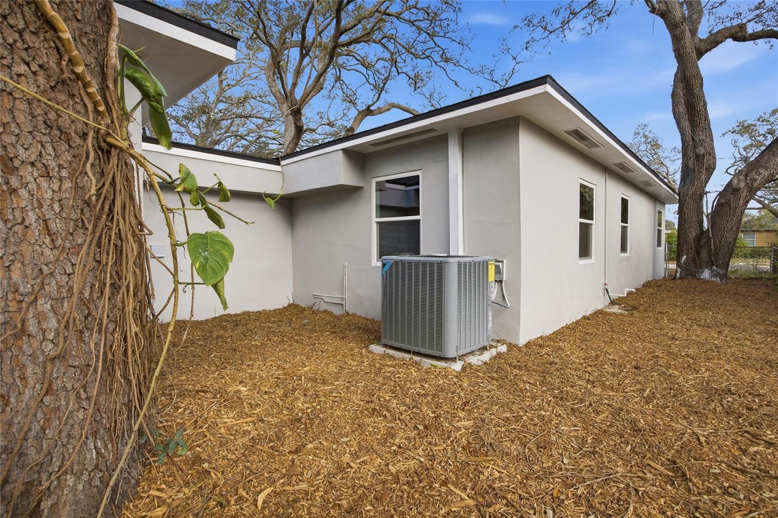 CAROLINA TERRACE - Residential