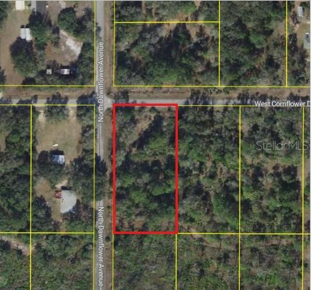 Photo of 11798 W Cornflower Drive, Crystal River, FL 34428 (MLS # W7881938)