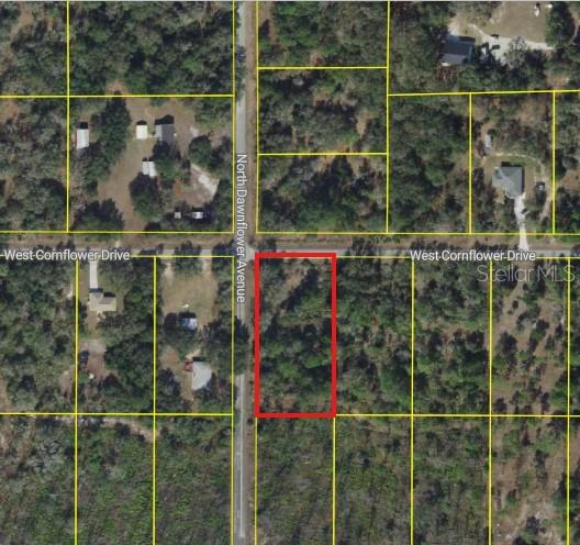 11798 W CORNFLOWER DRIVE