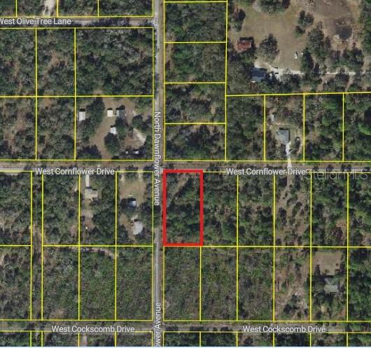 11798 W CORNFLOWER DRIVE