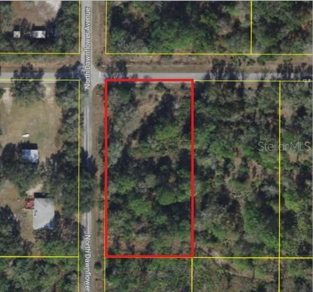 Photo of 11798 W Cornflower Drive, Crystal River, FL 34428 (MLS # W7881938)