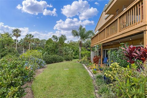 A home in MOUNT DORA