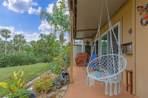 A home in MOUNT DORA