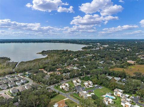 A home in MOUNT DORA