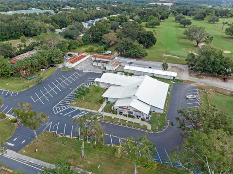 A home in MOUNT DORA