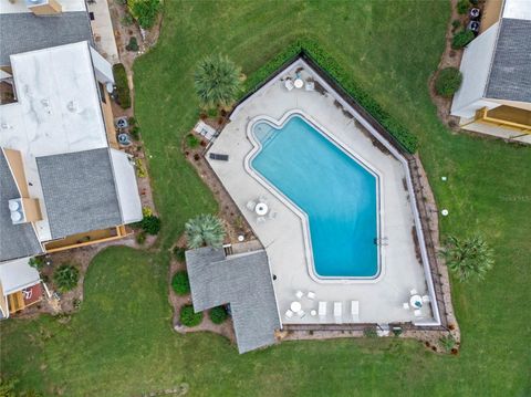 A home in MOUNT DORA