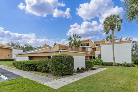 A home in MOUNT DORA