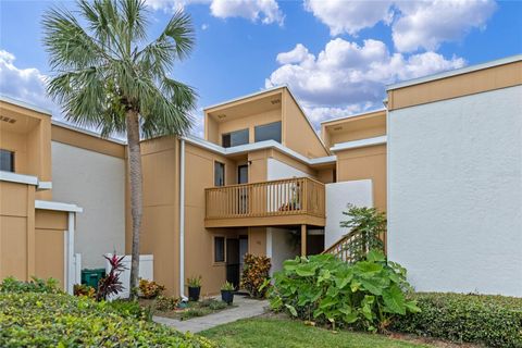 A home in MOUNT DORA