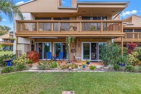 A home in MOUNT DORA