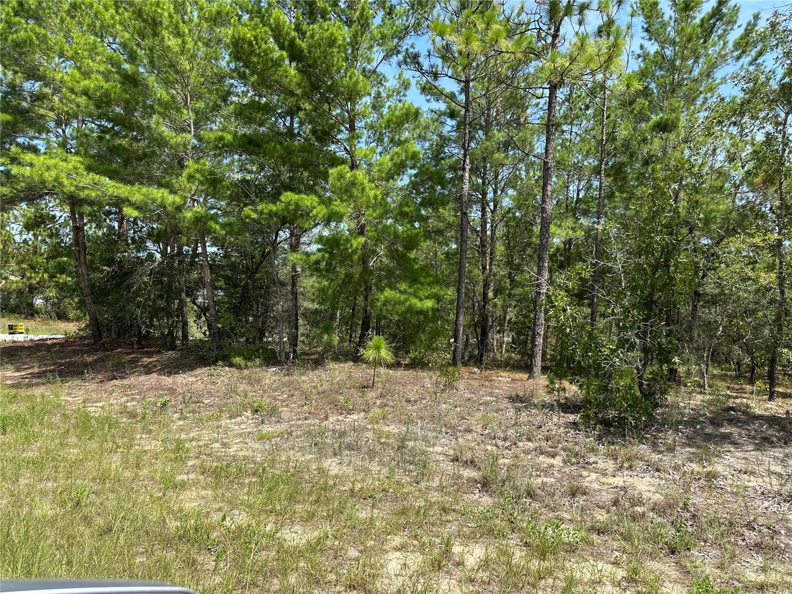 Great 1.30 acre lot in Ridge Manor Estates. Looking to build a new home? This lot is exactly what you might need. Go take a look.