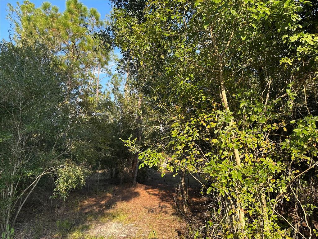 Photo of 8338 Hardstone Drive, Webster, FL 33597 (MLS # OM709669)