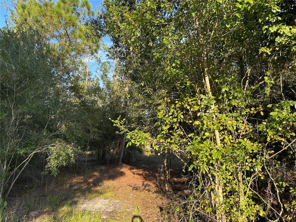 Photo of 8338 Hardstone Drive, Webster, FL 33597 (MLS # OM709669)