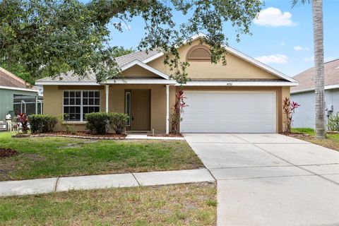 9721 FREDERICKSBURG ROAD TAMPA FL 33635