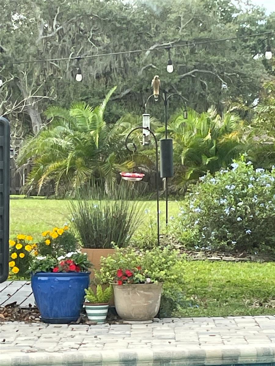 RIVER RUN UNIT II - Residential