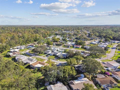 A home in PALM HARBOR