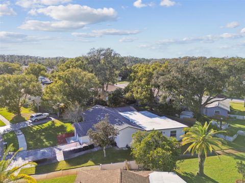 A home in PALM HARBOR