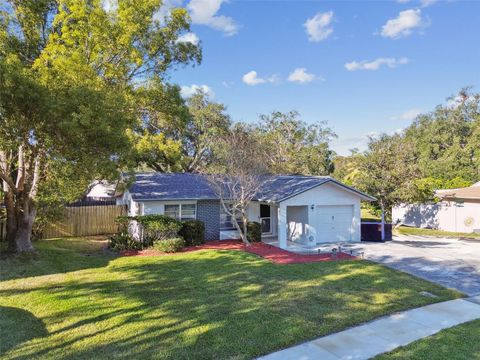 A home in PALM HARBOR