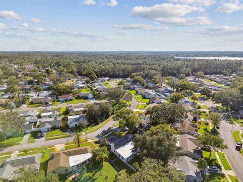 A home in PALM HARBOR