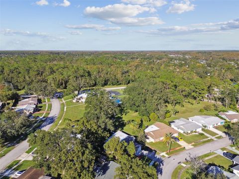 A home in PALM HARBOR