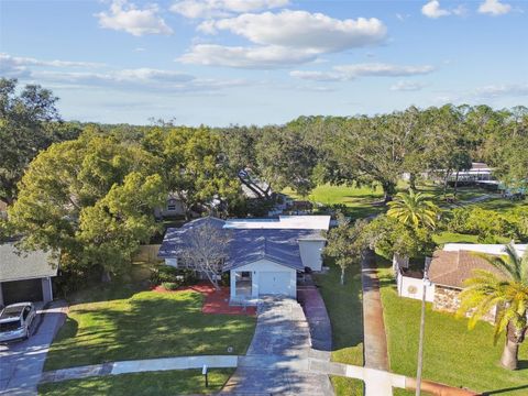 A home in PALM HARBOR