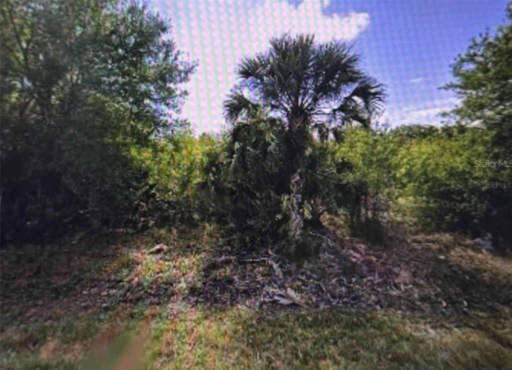 Photo of 11443 3rd Avenue, Punta Gorda, FL 33955 (MLS # D6142772)
