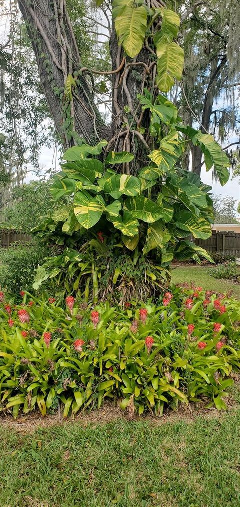 A home in PLANT CITY