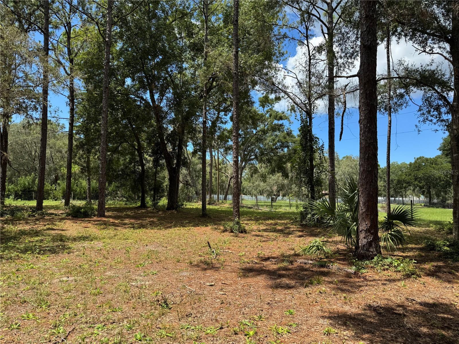 Welcome to this beautiful 0.76-acre lot in Spring Hill, Florida! This property offers the perfect balance of privacy, convenience, and opportunity. With almost a full acre of land, you’ll have plenty of space to build your dream home, place a mobile home, or use the property for agricultural purposes, including keeping animals.
The lot is clean, well-maintained, and ready to go, with a recent survey already available to save buyers time and money. It sits on a paved road, ensuring easy access — no dirt roads or hidden trails — and it’s located in a safe, welcoming neighborhood with good neighbors, including one who is a close friend of the seller. Utilities are also nearby, including electricity.
This lot is priced to sell and will not last long on the market. Whether you’re a builder, investor, or simply looking for the perfect place to create your future, this property is a rare find in Spring Hill. Don’t miss the chance to own one of the best values in the area!