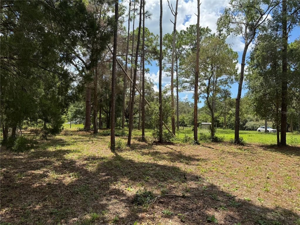 Photo of 15330 Tuckaway Lane, Spring Hill, FL 34610 (MLS # TB8418442)