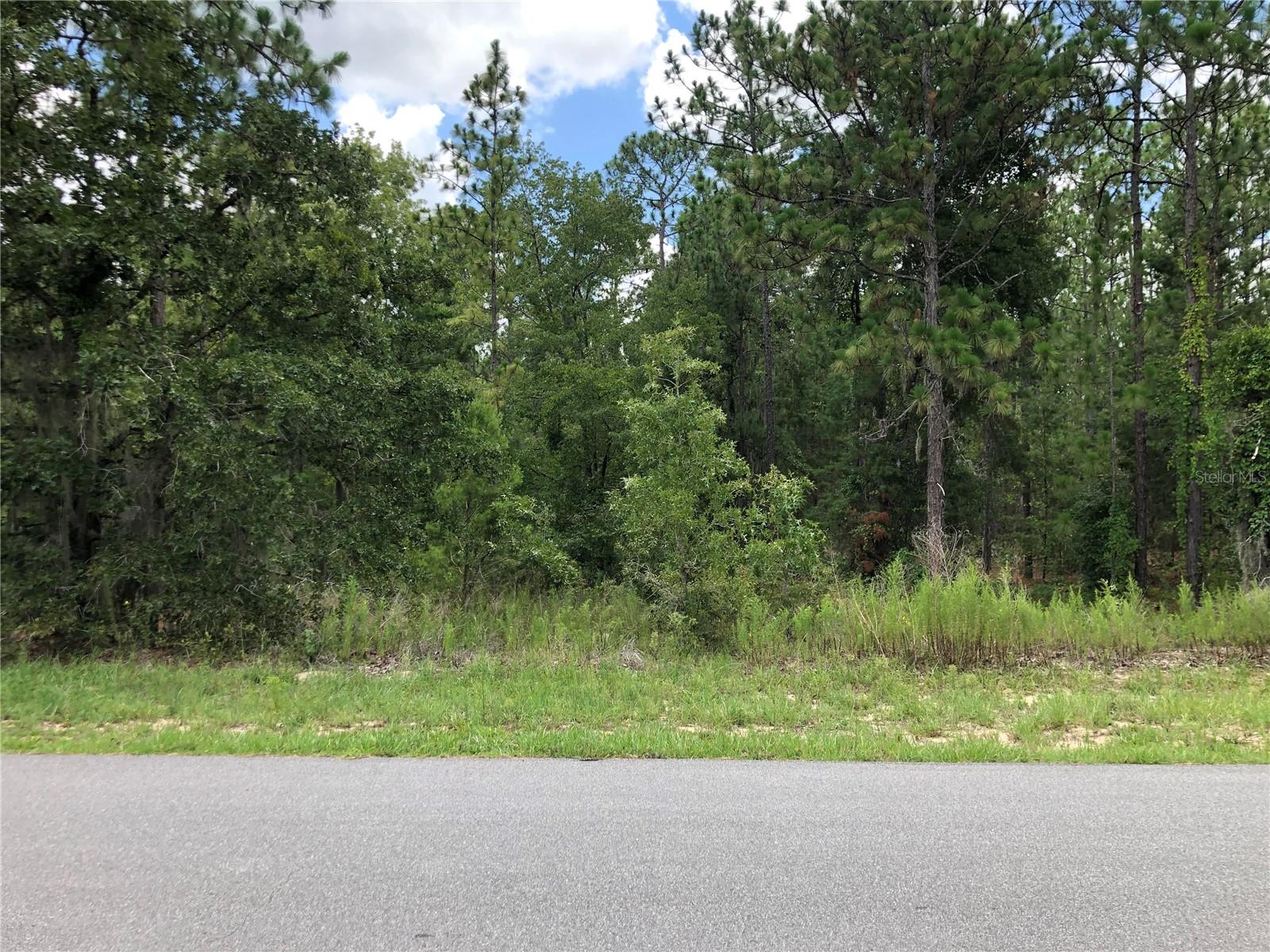 WILDWOOD COUNTRY ESTATES PH I - Land