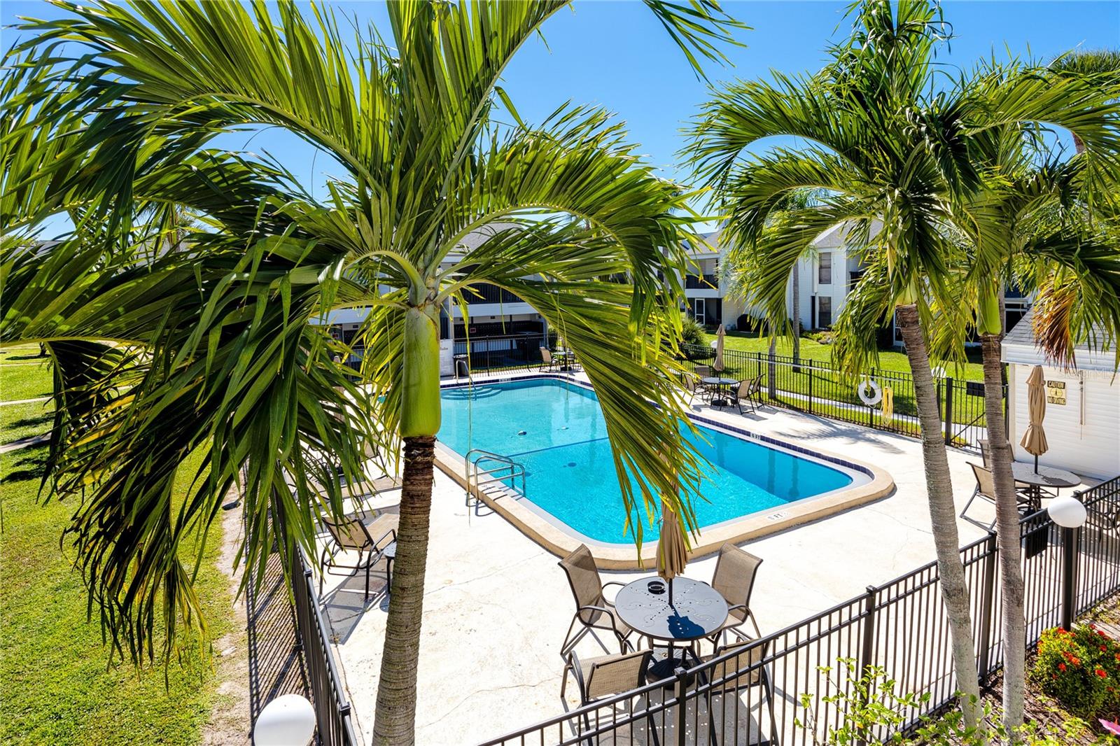 PALMS OF TARPON SPGS THE CONDO - Residential Lease
