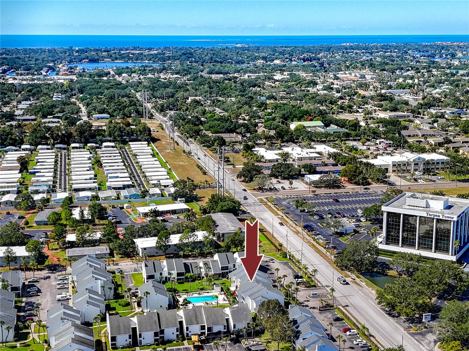 PALMS OF TARPON SPGS THE CONDO - Residential Lease