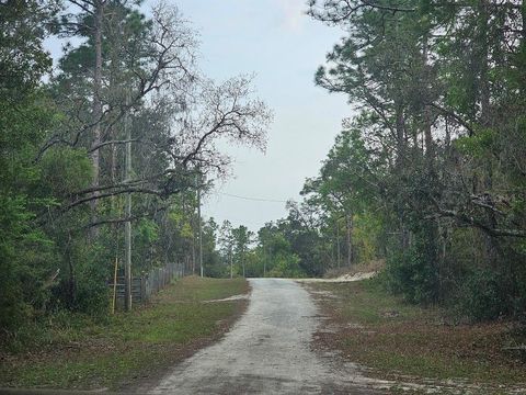 0 COLONEL AVENUE WEBSTER FL 33597