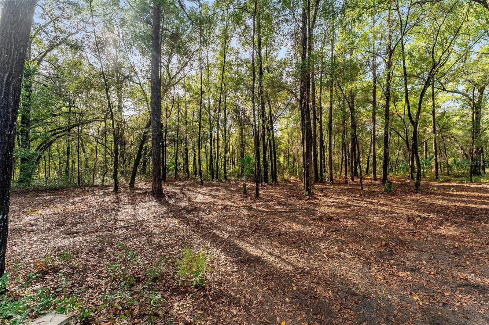 CITRUS HILL 1ST ADD - Residential