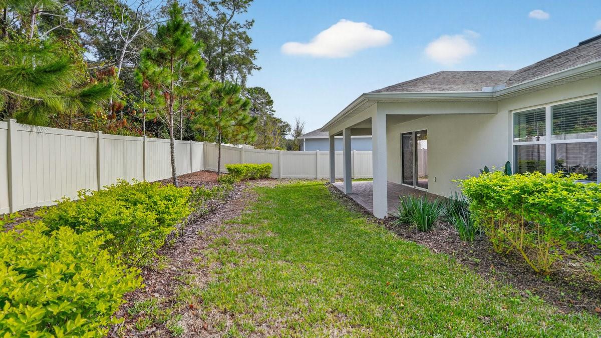 CANOPY TERRACE - Residential
